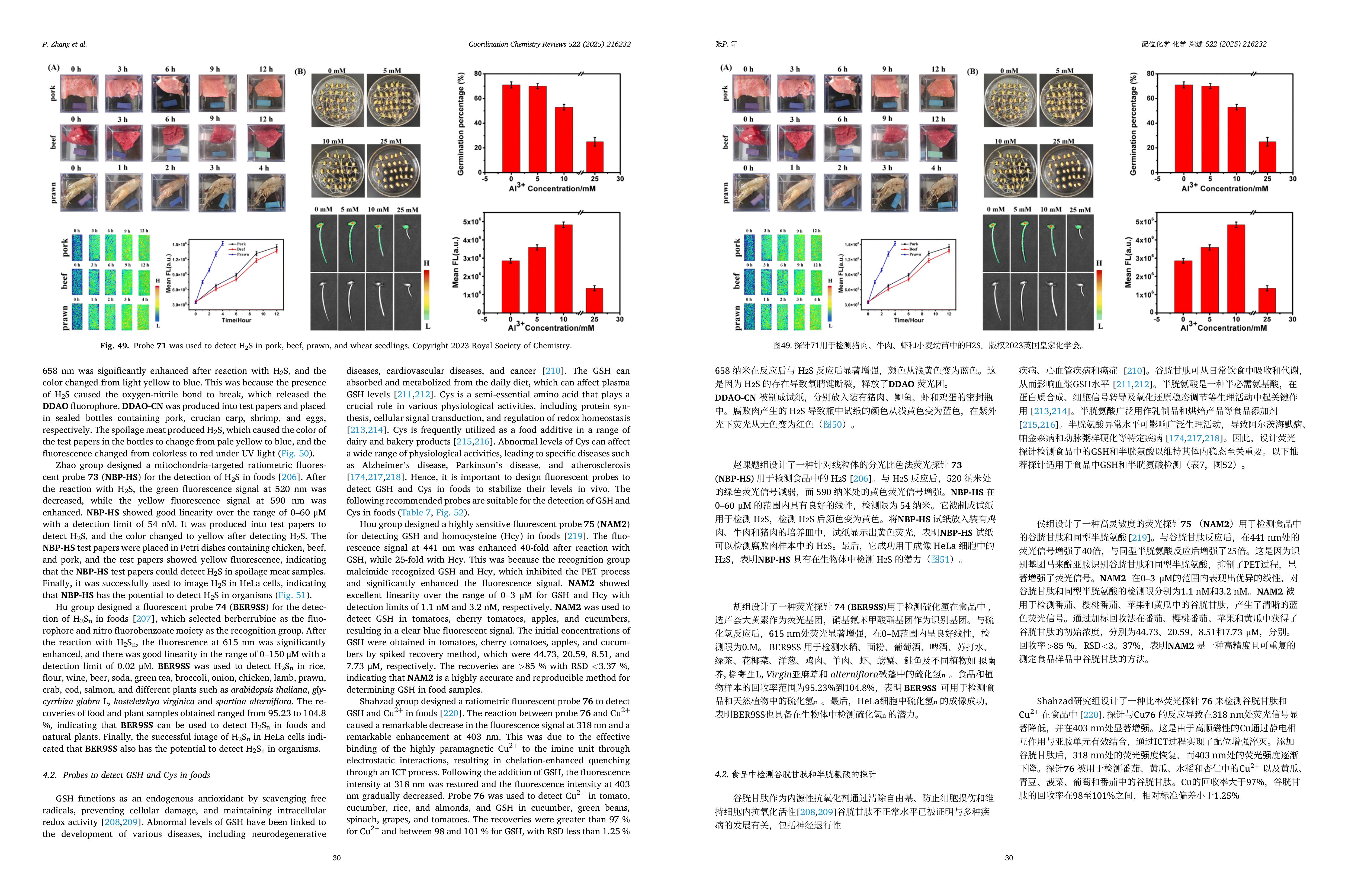 精准翻译功能演示